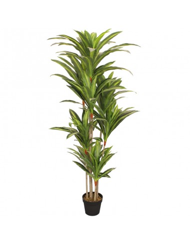 Τεχνητό Φυτό Oranon Δράκαινα 170cm