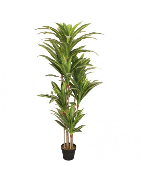 Τεχνητό Φυτό Oranon Δράκαινα 170cm