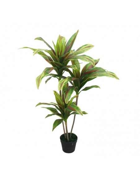 Τεχνητό Φυτό Oranon Δράκαινα 100cm