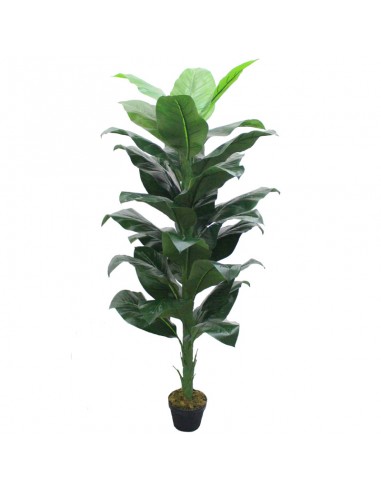 Τεχνητό Φυτό Σπαθίφυλλο 160cm Oranon