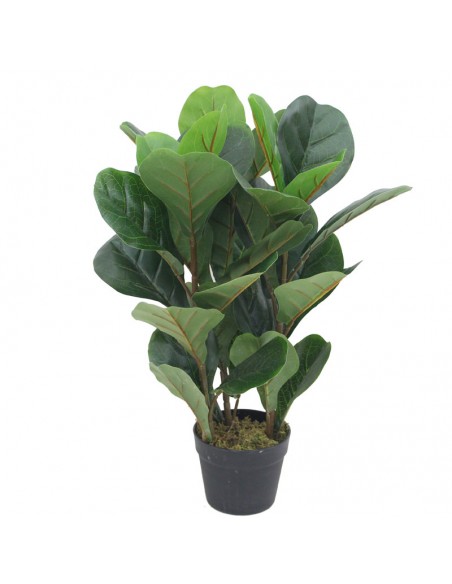 Τεχνητό Φυτό Oranon Φίκος Λυράτα 70cm
