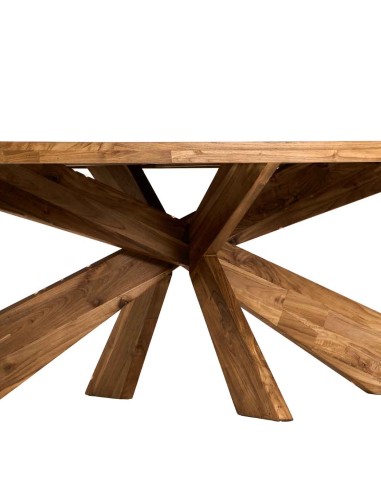 Τραπέζι Εξωτερικού Χώρου Elips 300X105X75cm Oranon
